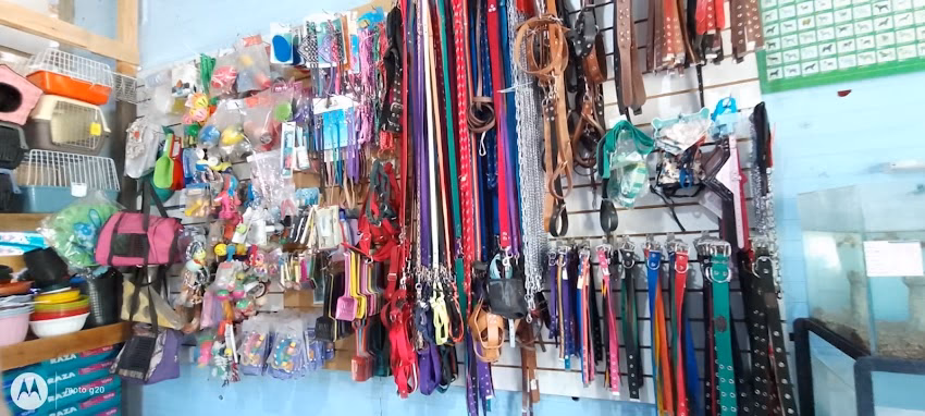 Pequeños Animalados