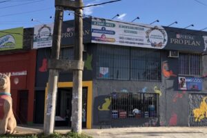 Pequeños Cachorros Pet Shop