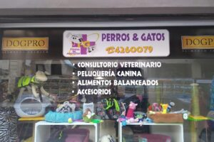 Perros y Gatos Tienda de Mascotas