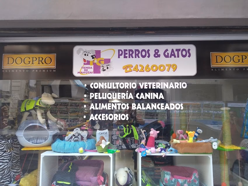 Perros y Gatos Tienda de Mascotas
