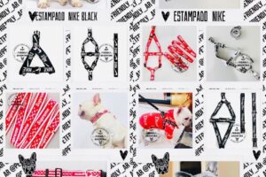 Pet Friendly Argentina