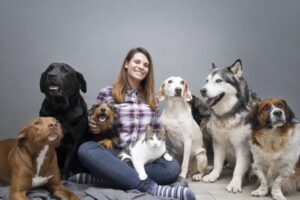 Pet Land Veterinaria