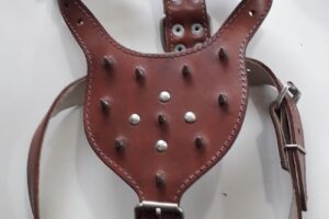 Pet Mall big brothers