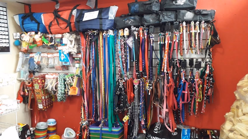 Pet Mall big brothers