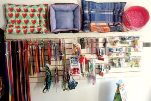 Pet Mas Tienda De Mascotas Ventas Por Mayor Y Menor