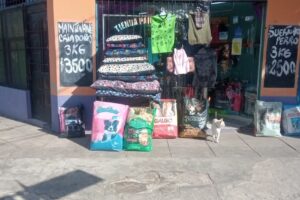 Pets shop Agente P