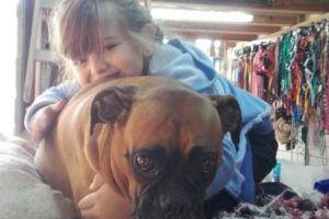 Pets Shop Pelucan Chic