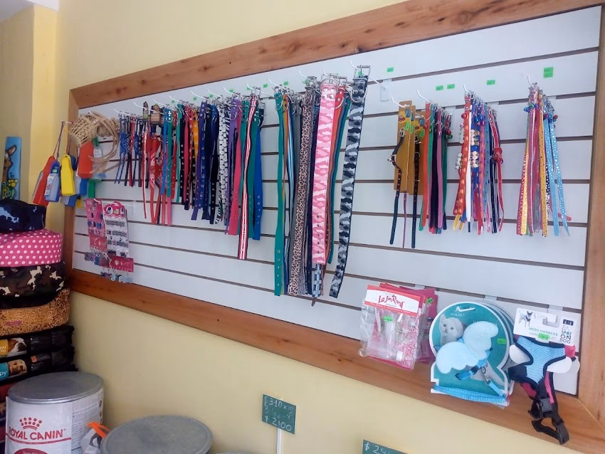 Pets Shop Scooby Doo