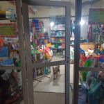 Pet Shop Ayudante de Santa