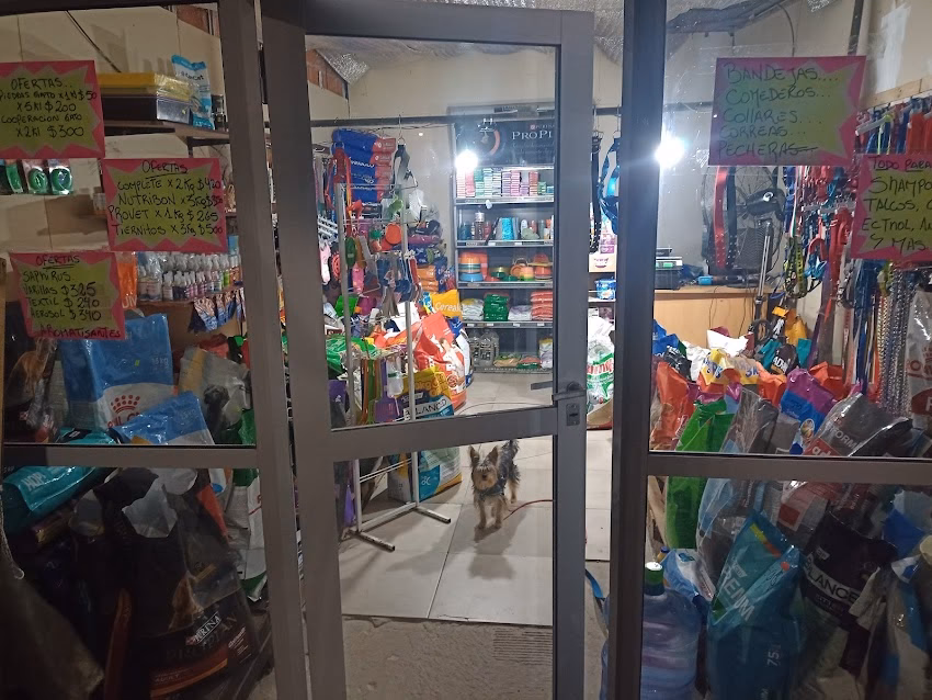 Pet Shop Ayudante de Santa