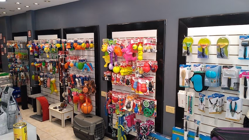 Pet Shop Beto Boutique