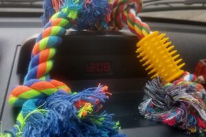 Pet Shop Beto Casa Central