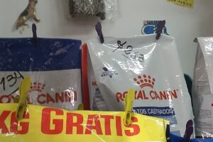 Pet Shop Bichos Colorados