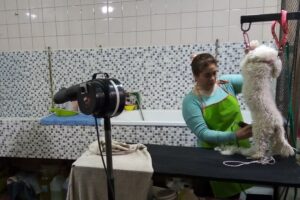 Pet Shop Bien Bonitos peluquería canina
