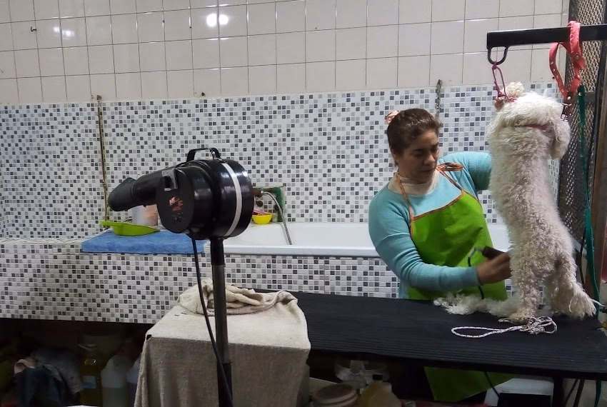 Pet Shop Bien Bonitos peluquería canina