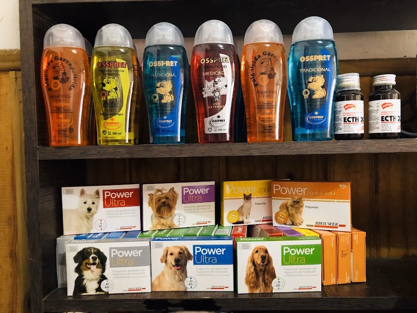 Pet Shop Chaque Pets