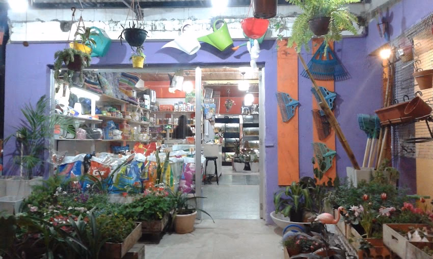 Pet Shop El Gourmet de las Mascotas