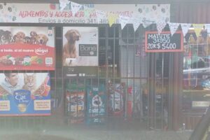 Pet Shop El jugador