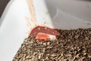 Pet shop Entre Patitas