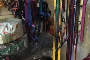 Pet Shop Estacion Mascotas