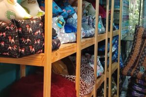 Pet Shop Estetica Canina