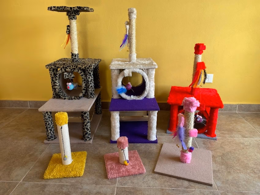 Pet shop forrajeria koky