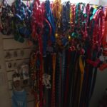 Pet Shop Guau