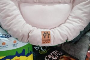 Pet Shop Hakuna Matata