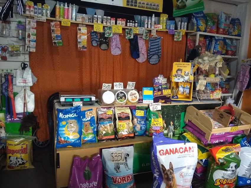 Pet Shop Hakuna Matata