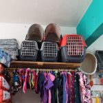 Pet Shop Huellas Norte
