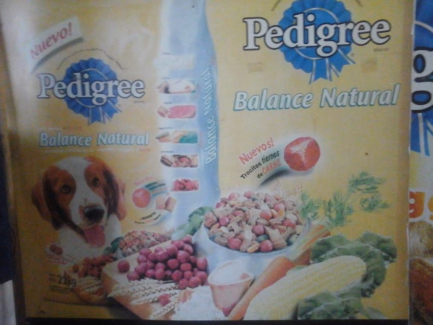 Pet Shop Las 3 Cones