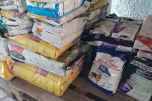 Pet Shop Lilos Alimentos Y Accesorios Para Mascota Fabricamos Gimnasios Para Gatos