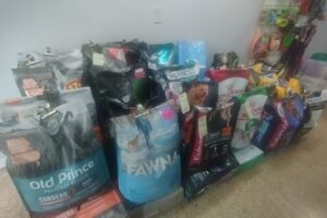 Pet Shop Lo de Morri