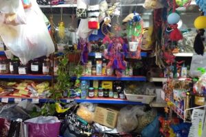 Pet Shop Los 4 Elementos