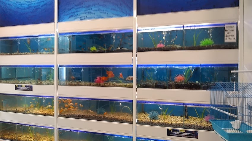 Pet Shop Maipú Rio Iv