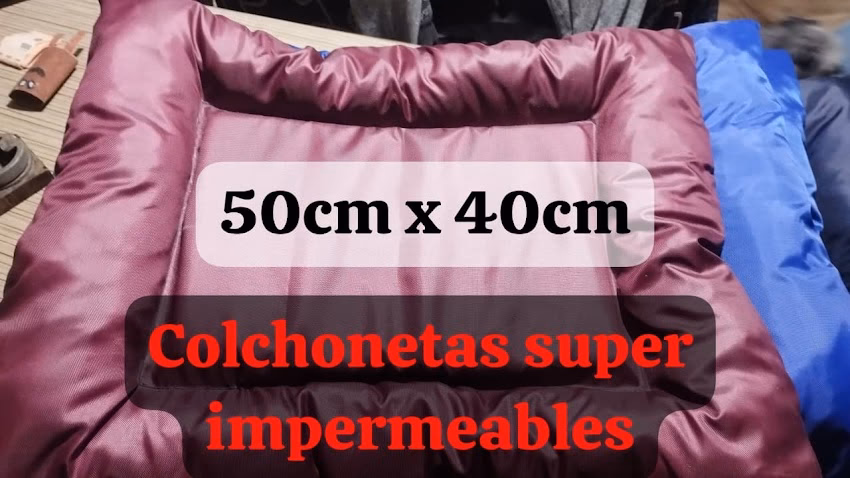 Pet shop maskoteando31