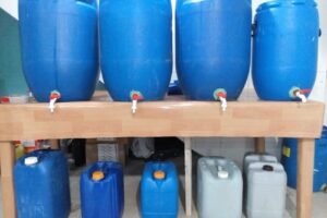 Pet shop Mi cachorro