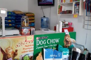 Pet Shop Mis Bichitos