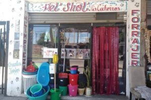 Pet Shop Mis Cachorros