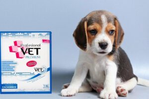 Pet Shop Mr Pagnanelli