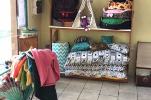 Pet Shop Nt tienda de mascotas