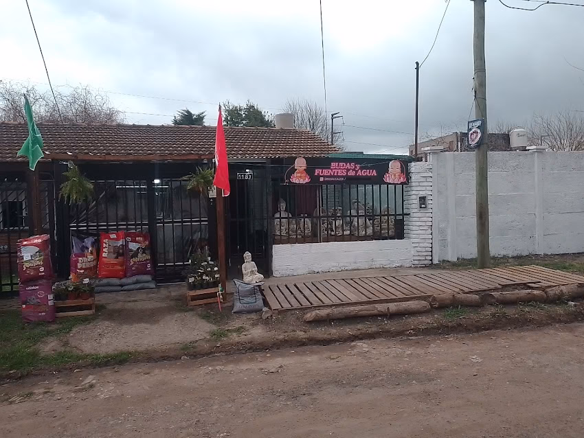 Pet shop nacho