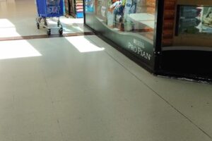 Pet Shop Natural Life Adrogue