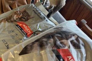 Pet Shop Natural Life Paternal