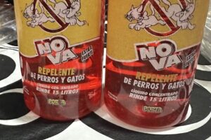 Pet Shop olí y ever