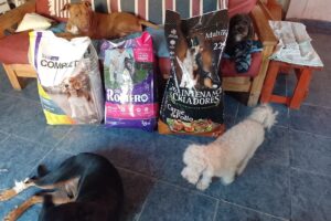 Pet Shop Online Catycan