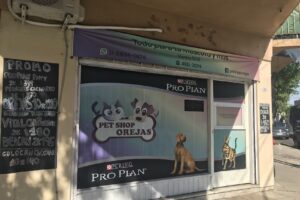 Pet Shop Orejas flores