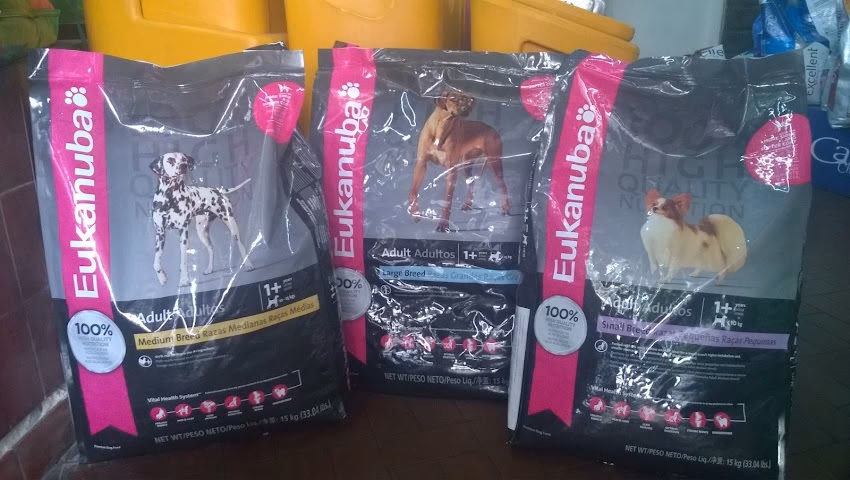 Pet Shop Pájaro Loco
