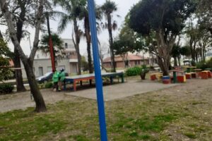 Pet shop Patas Locas