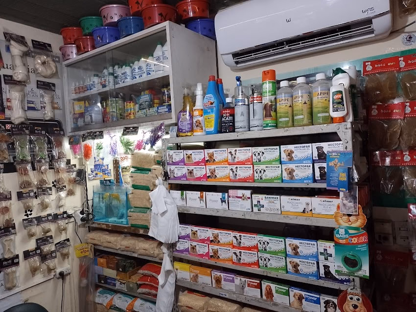 Pet Shop Patitas 11 Años